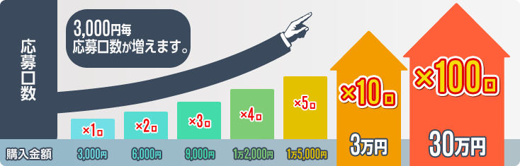 購入金額3,000円毎に、応募口数が1口増えます。