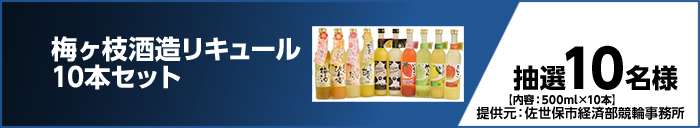 梅ヶ枝酒造リキュール10本セット　抽選10名様　【内容：500ml×10本】提供元：佐世保市経済部競輪事務所