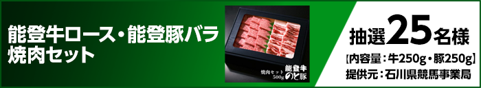 能登牛ロース・能登豚バラ 焼肉セット 【内容量：牛250g・豚250g】 提供元：石川県競馬事業局 抽選25名様