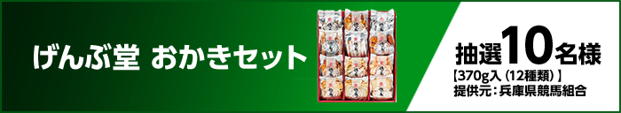 げんぶ堂 おかきセット　抽選10名様　【370g入（12種類）】　提供元：兵庫県競馬組合