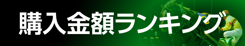 購入金額ランキング