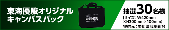 東海優駿オリジナルキャンバスバック　抽選30名様　【サイズ：W420mm×H300mm×100mm】　提供元：愛知県競馬組合