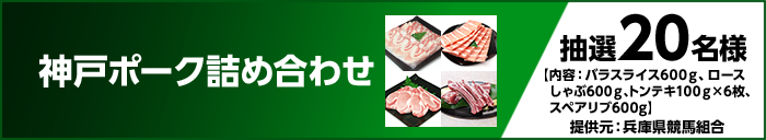 神戸ポーク詰め合わせ　抽選20名様　【内容：バラスライス600ｇ、ロースしゃぶ600ｇ、トンテキ100ｇ×6枚、スペアリブ600g】　提供元：兵庫県競馬組合