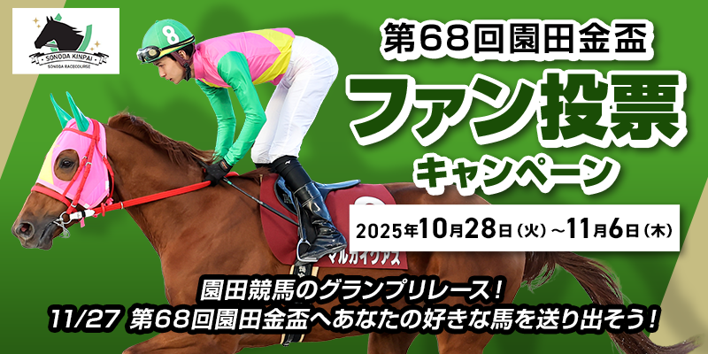 キャンペーン イメージ