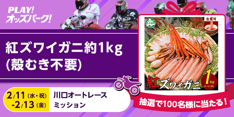 キャンペーン イメージ