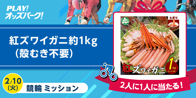 キャンペーン イメージ