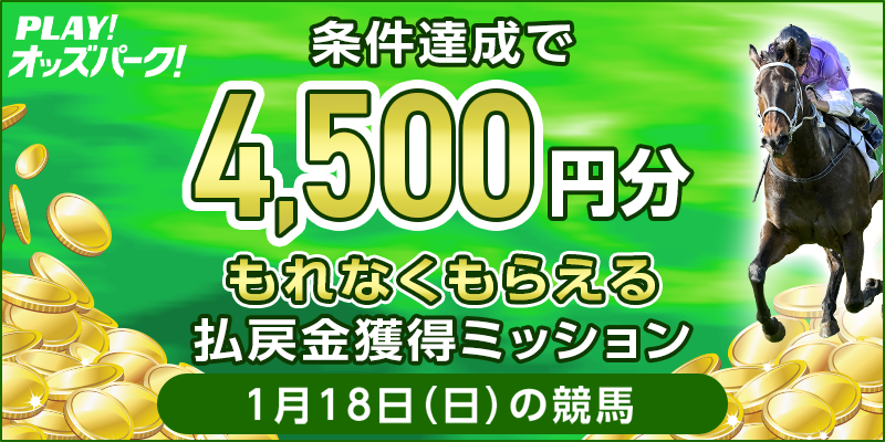 キャンペーン イメージ