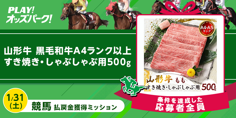 キャンペーン イメージ