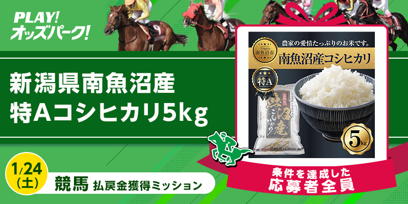 キャンペーン イメージ