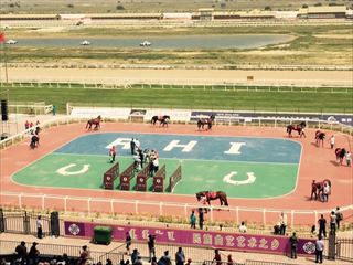 ウランホト図什業図（とじゅうぎょうと）競馬場パドック_R.JPG