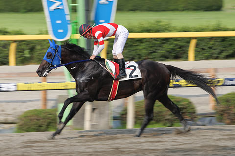 091116-op01.jpg