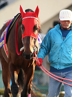 100329-op.jpg