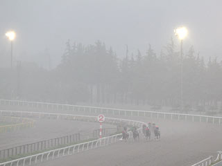 100705-op.jpg