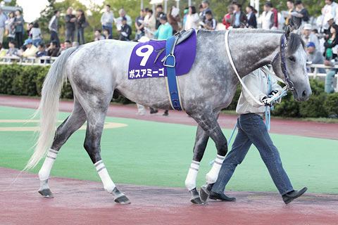 101025-op.jpg