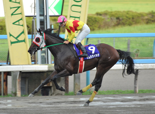 hatanaka02.jpg