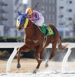 柿原 翔騎手 名古屋 地方競馬ならオッズパーク競馬