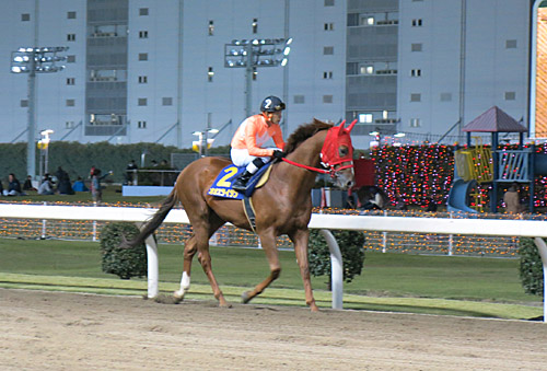 kimutake02.JPG