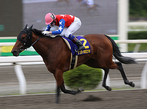 雑賀 正光 調教師 高知 地方競馬ならオッズパーク競馬