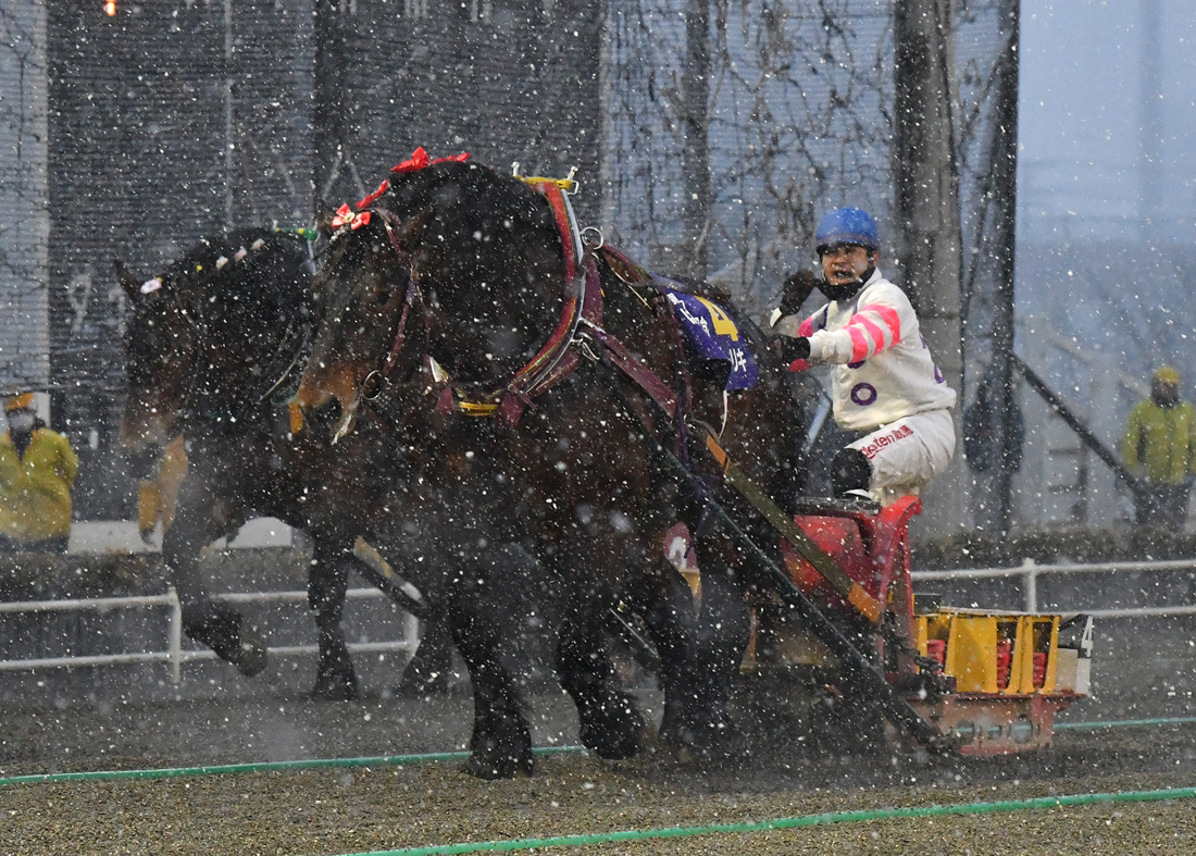 suzukikeisuke22_20241011.jpg