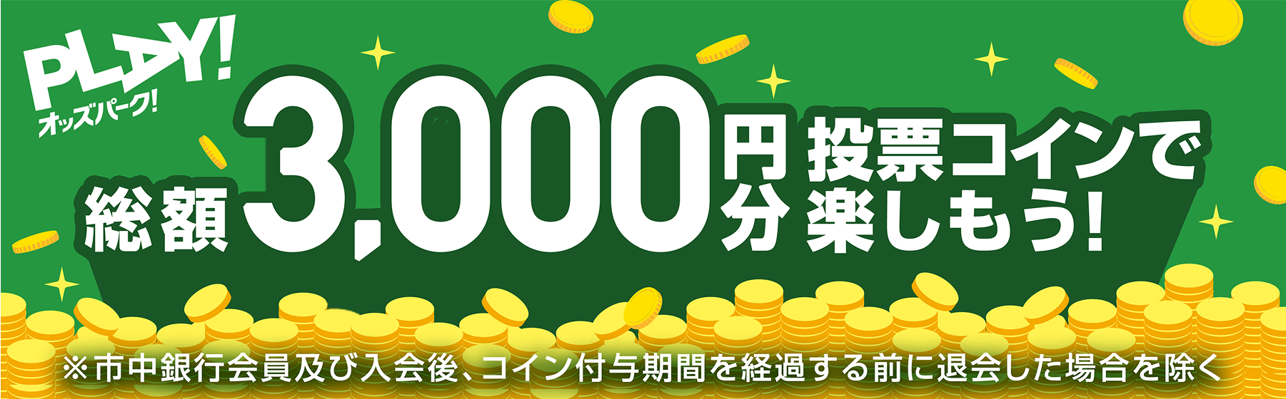 3000円（NAVI）