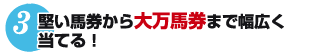 3.堅い馬券から大万馬券まで幅広く当てる！