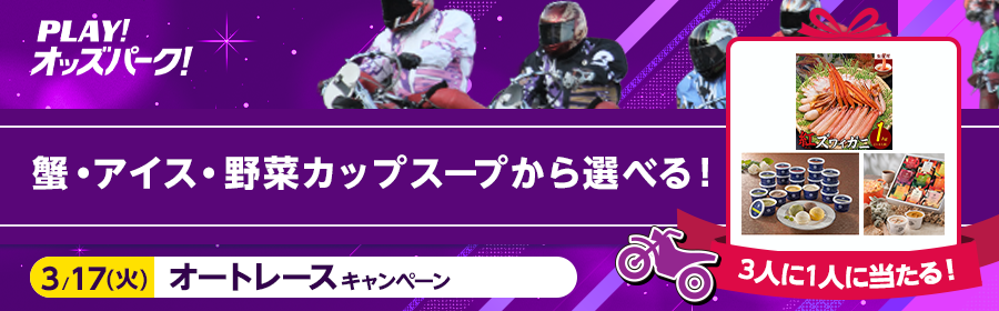 【3月17日オートで選べる賞品】3人に1人に当たる！キャンペーン